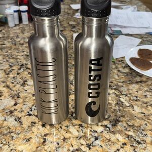Costa Silver Insulated Bottles